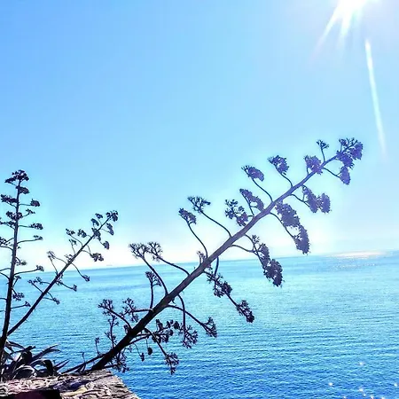 Znjanski Vidici Tonka Split